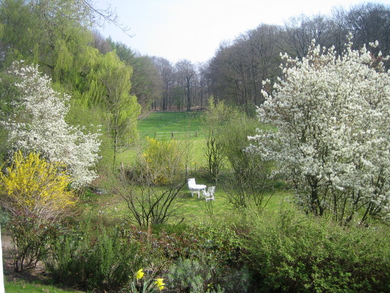 Gartenidylle im Münsterland