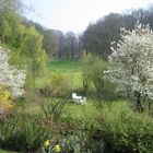 Gartenidylle im Münsterland