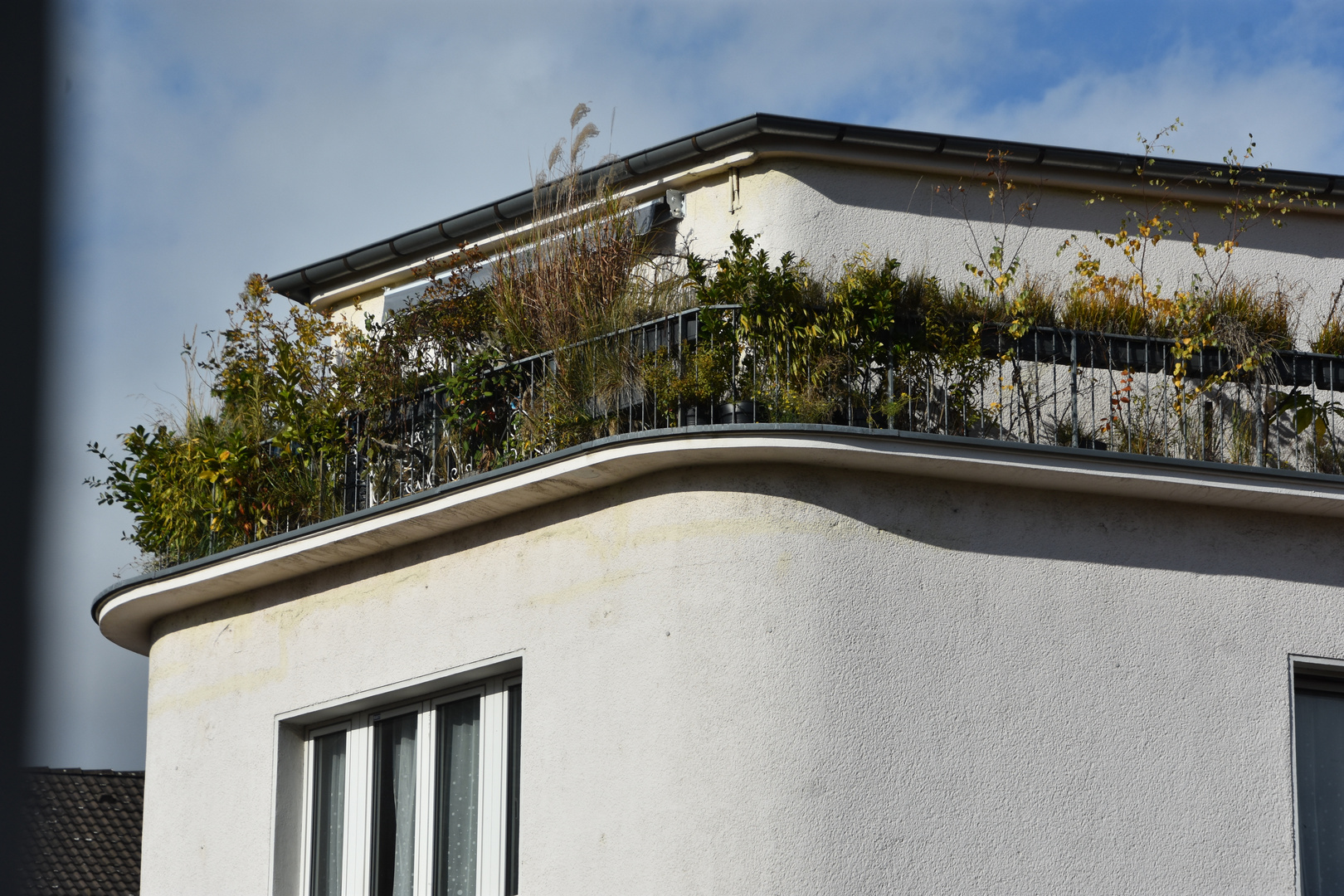 gartenidylle in der stadt köln