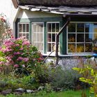 Gartenidylle in Zingst