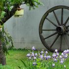 Gartenidylle in Zülpich/Kr. Euskirchen