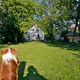 Gartenidylle mit Hund und Nussbaum von der anderen Seite