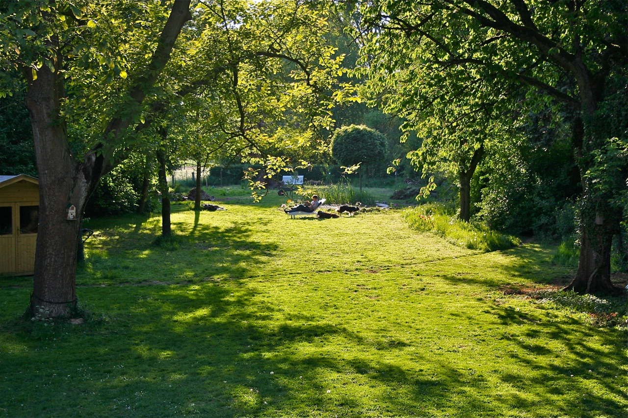 Gartenidylle mit Hunden und Nussbaum