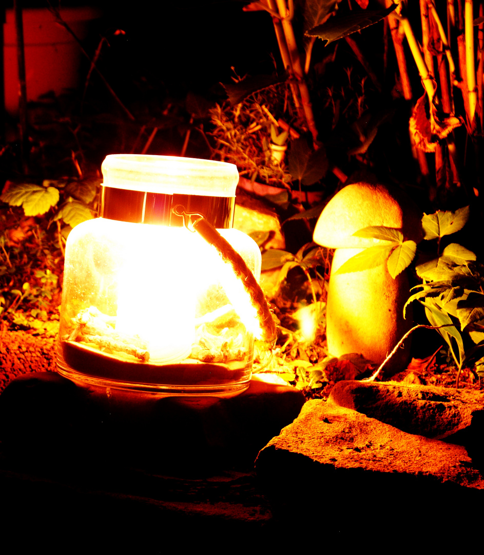 Gartenillumination 2