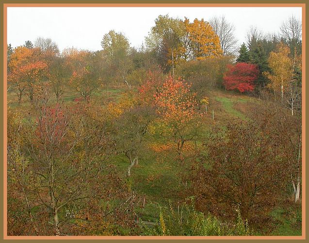 Gartenimpressionen