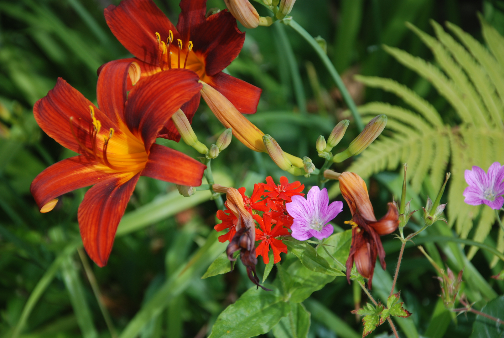 Gartenimpressionen