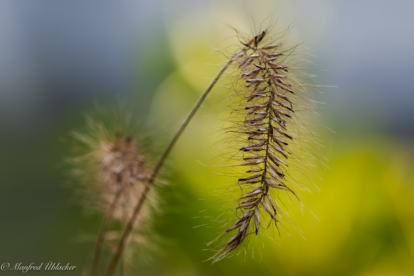 Gartenimpressionen im Dezember ...