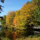 Garteninsel Schloß Hovestadt im Herbst