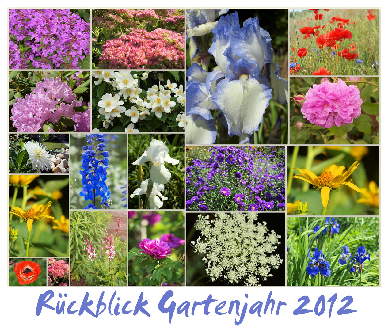 Gartenjahr 2012