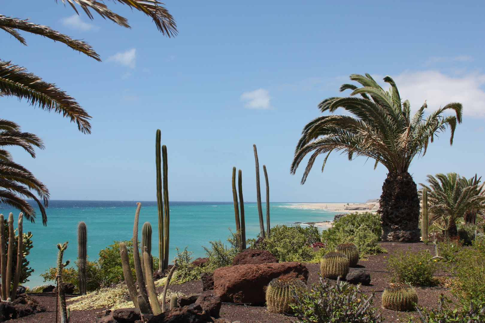 Garten,Kakteen und doch MEER!!!