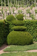 Gartenkunst auf Schloss Dornburg