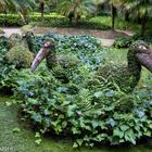 Gartenkunst im Parque Terra Nostra in Furnas Sao Miguel