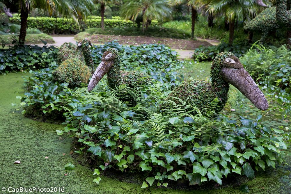 Gartenkunst im Parque Terra Nostra in Furnas Sao Miguel