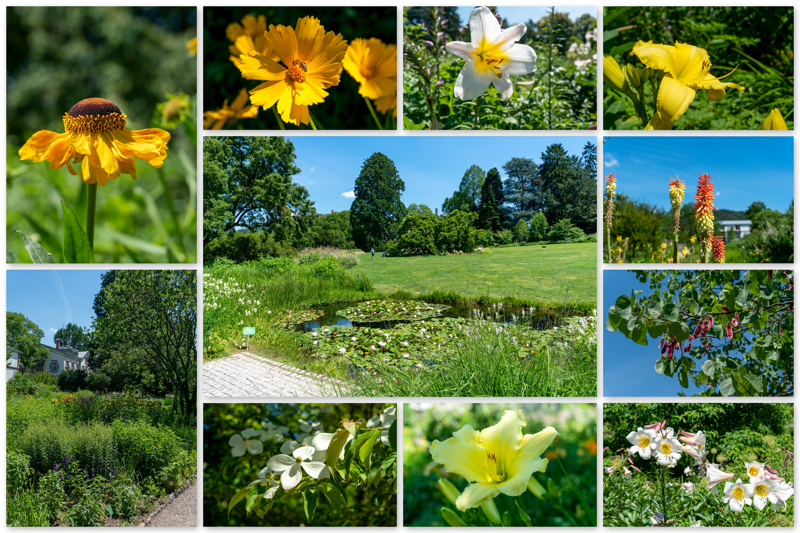 Gartenkunst in Weinheim