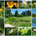 Gartenkunst in Weinheim