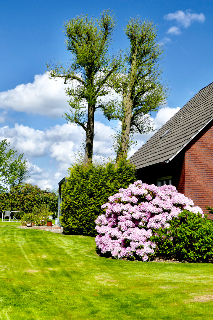 Gartenlandschaft