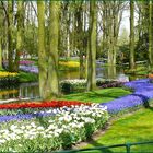 Gartenlandschaft I im Keukenhof