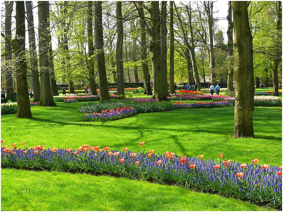 Gartenlandschaft II im Keukenhof