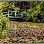 Gartenlandschaft im Wassergarten