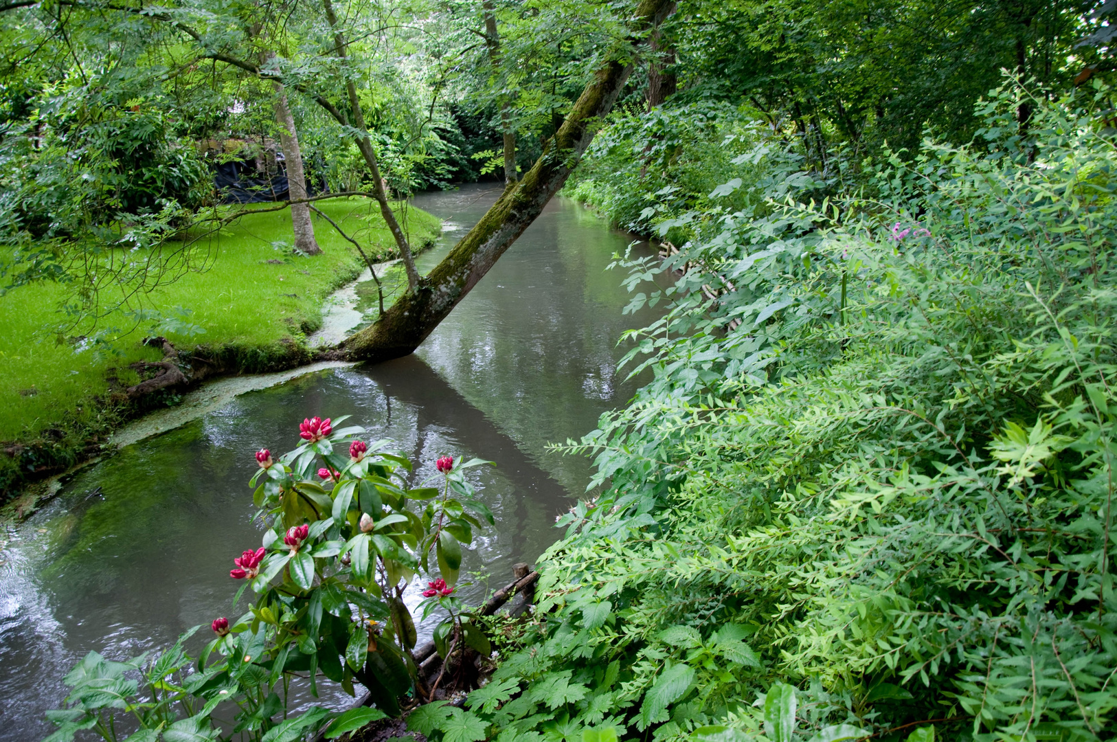 Gartenlandschaft in Giverny