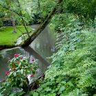 Gartenlandschaft in Giverny