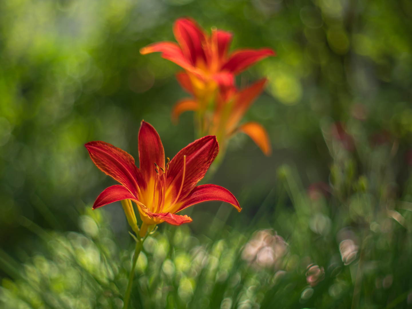 Gartenlichter