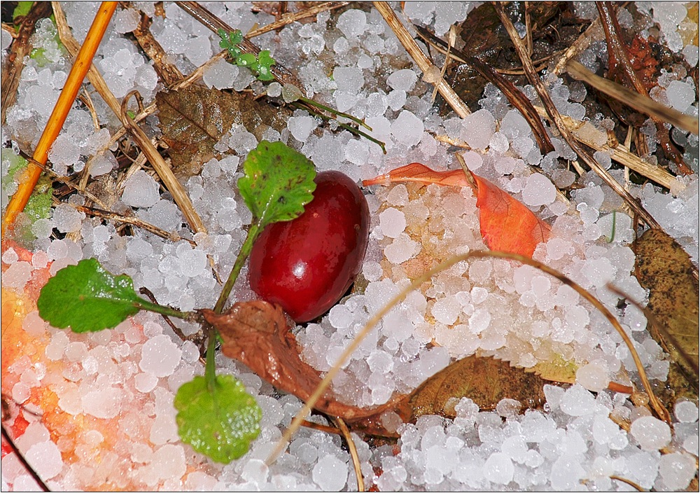 Gartennachmittag heute