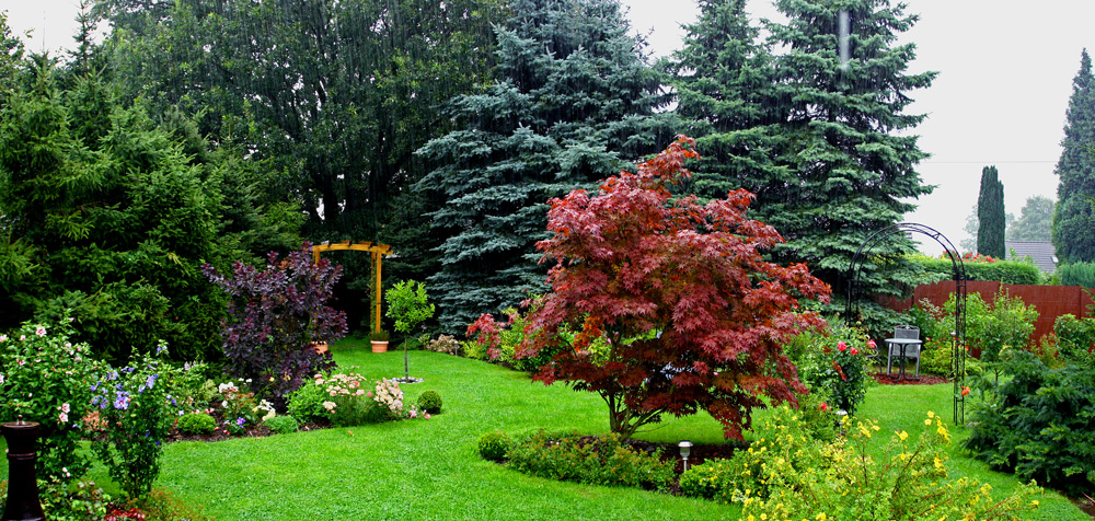 Gartenpanorama im regen