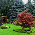 Gartenpanorama im regen