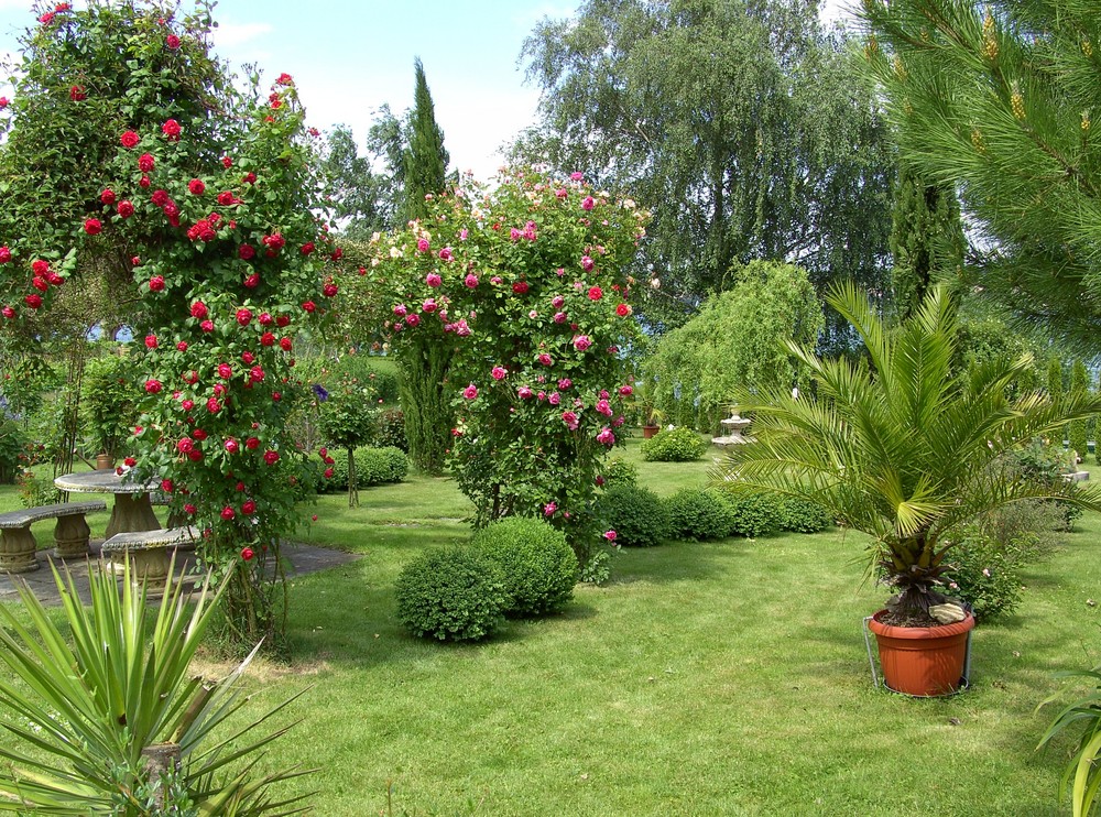 Gartenparadies auf der Reichenau 2