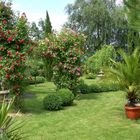 Gartenparadies auf der Reichenau 2