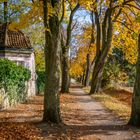 Gartenpavillon II - Riddagshausen/Braunschweig