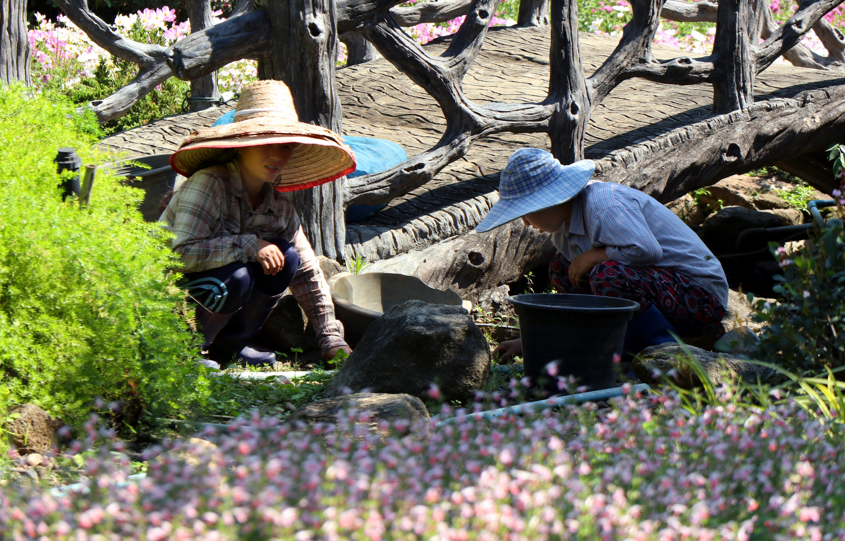 Gartenpflege