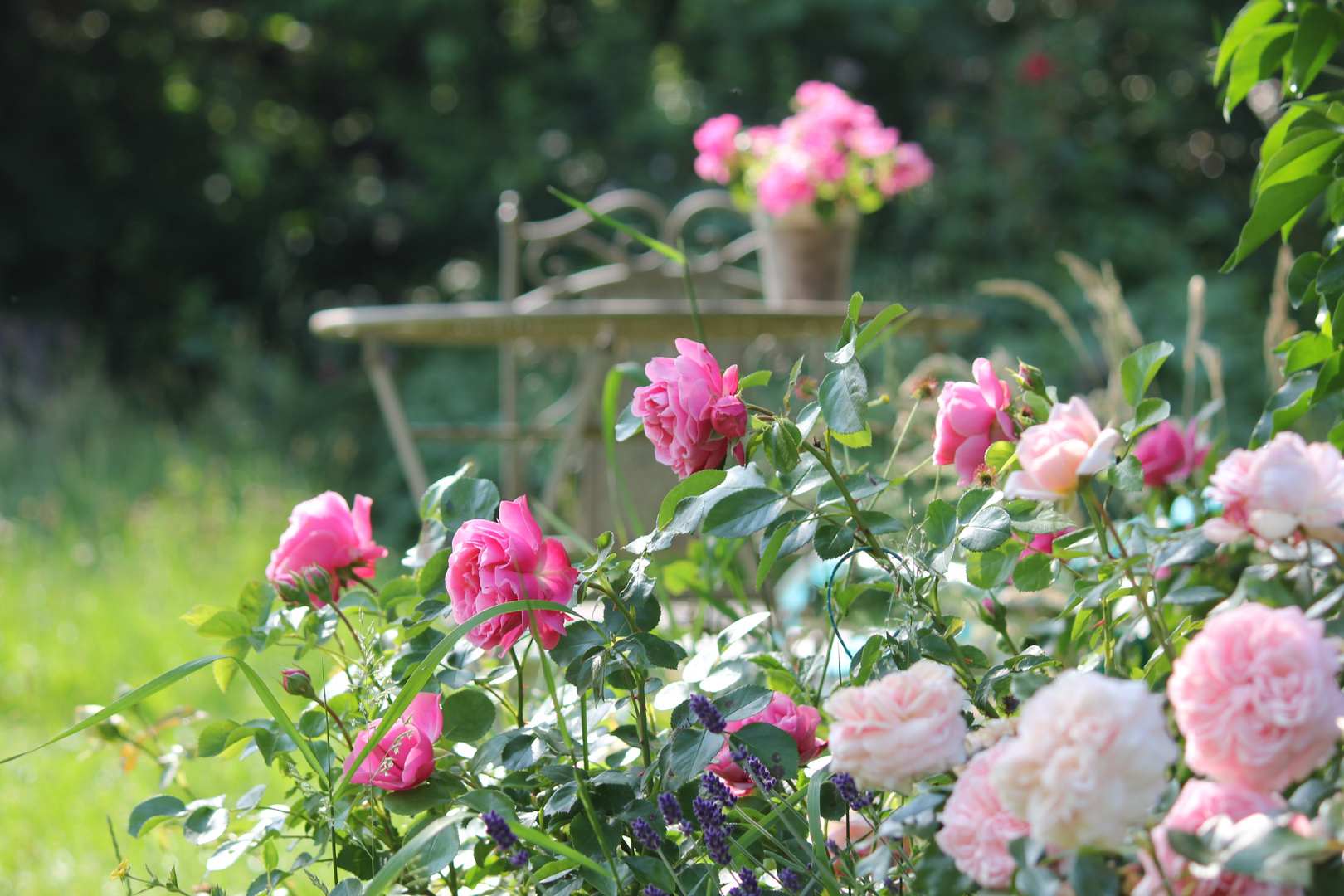 GartenPlatz