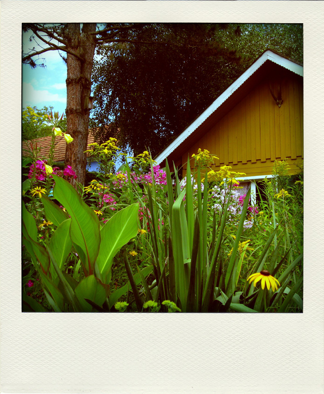 Gartenpoladroid