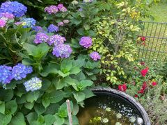 Gartenpracht