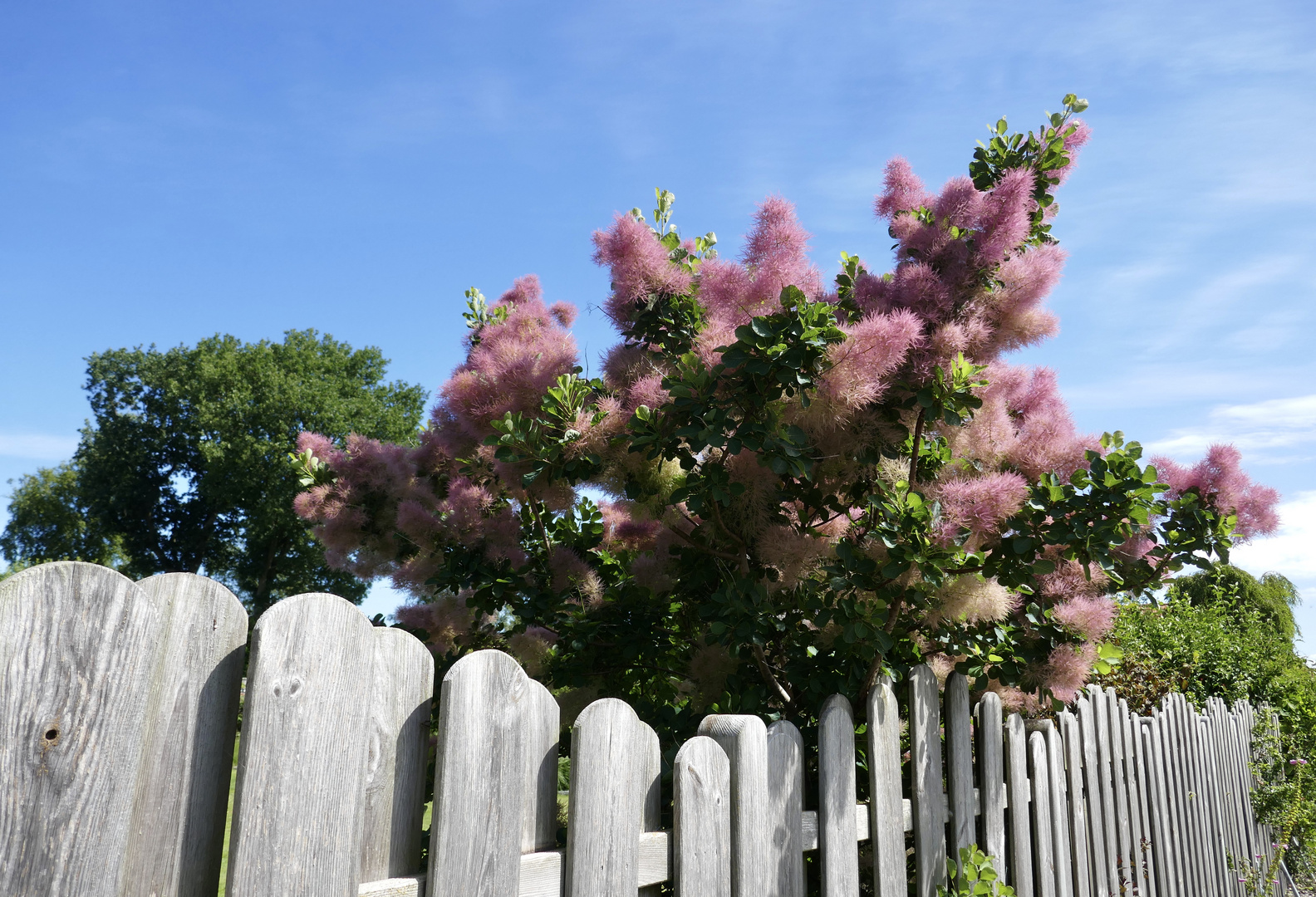 Gartenromantik