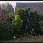 Gartensaison hat begonnen !