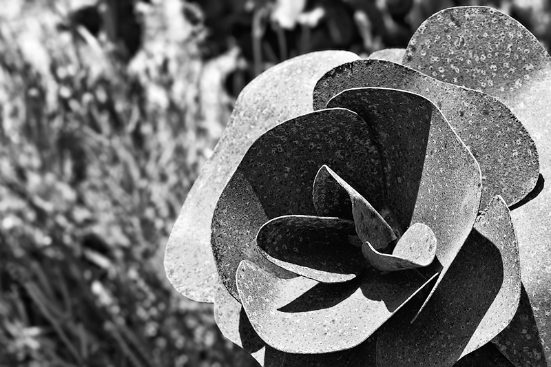 Gartenschauen treiben manchmal seltsame Blüten