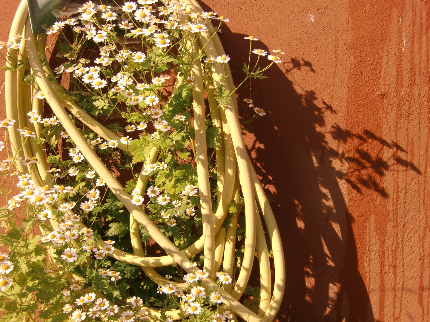 Gartenschlauch außer Betrieb