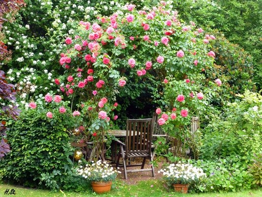 Gartensitzecke im Blütenmeer
