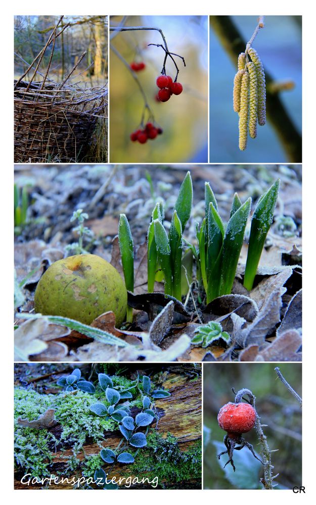 Gartenspaziergang...