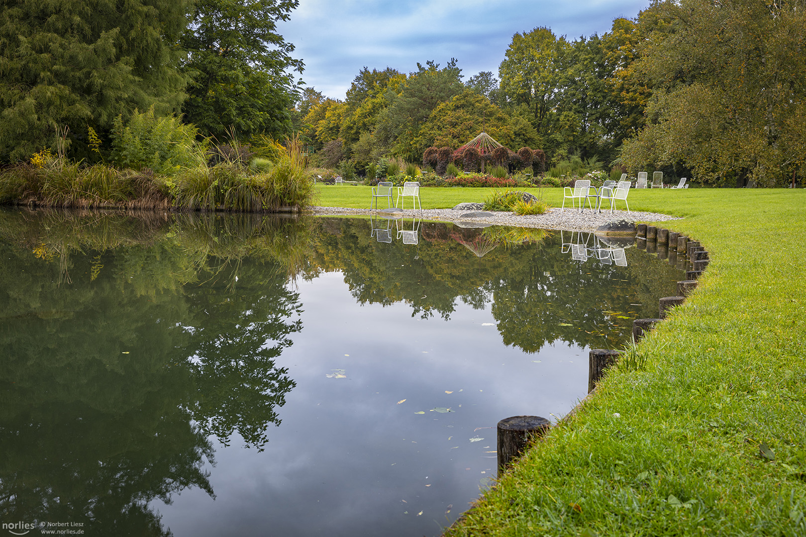 Gartenspiegelung auf dem Wasser