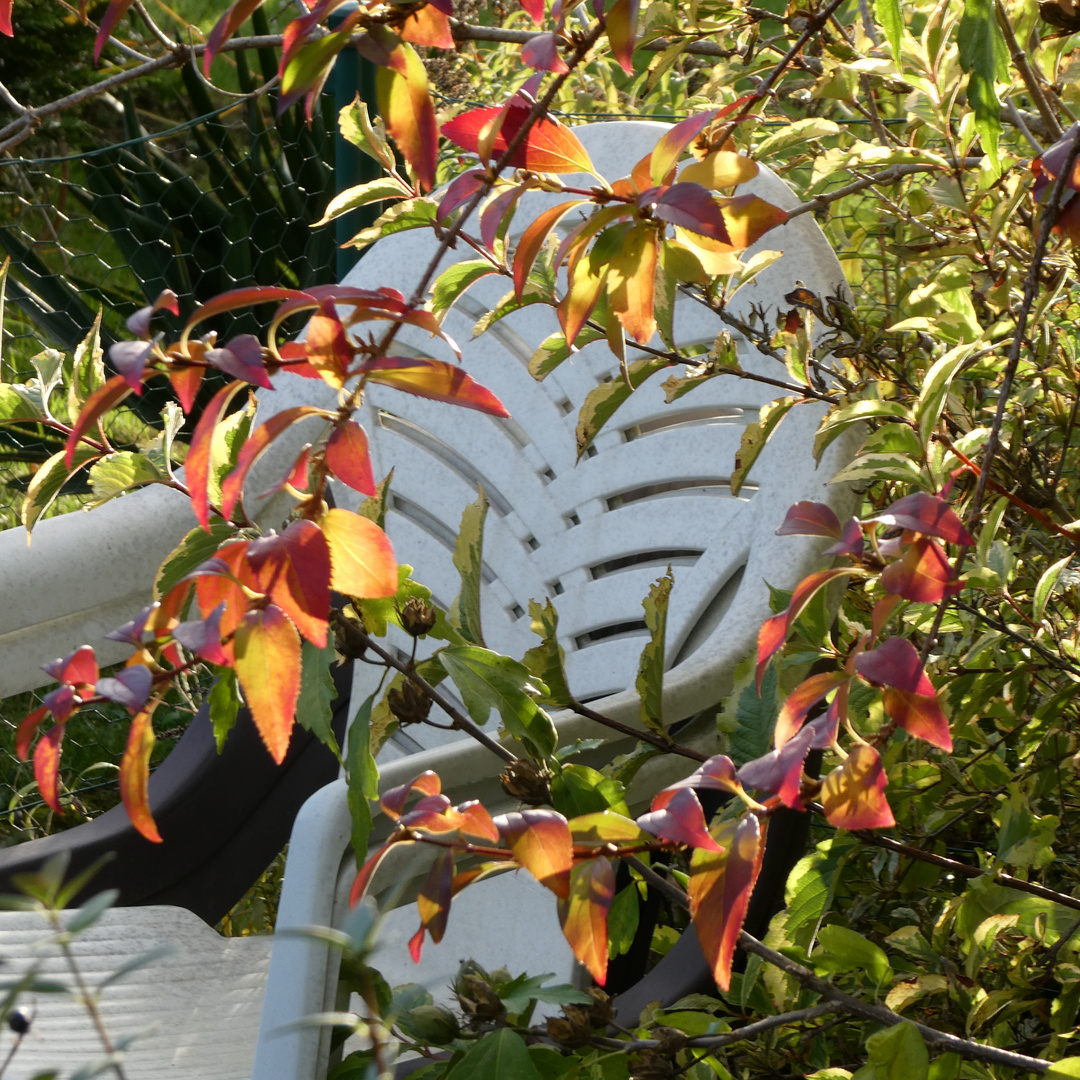 Gartenstuhl im Herbst