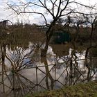 Gartenteich