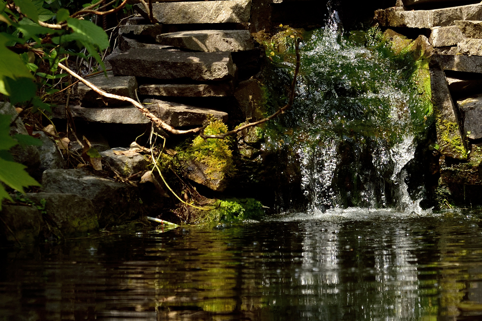 Gartenteich