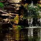 Gartenteich