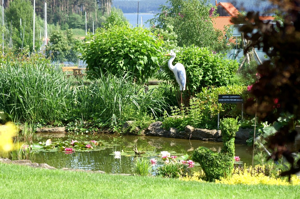 Gartenteich