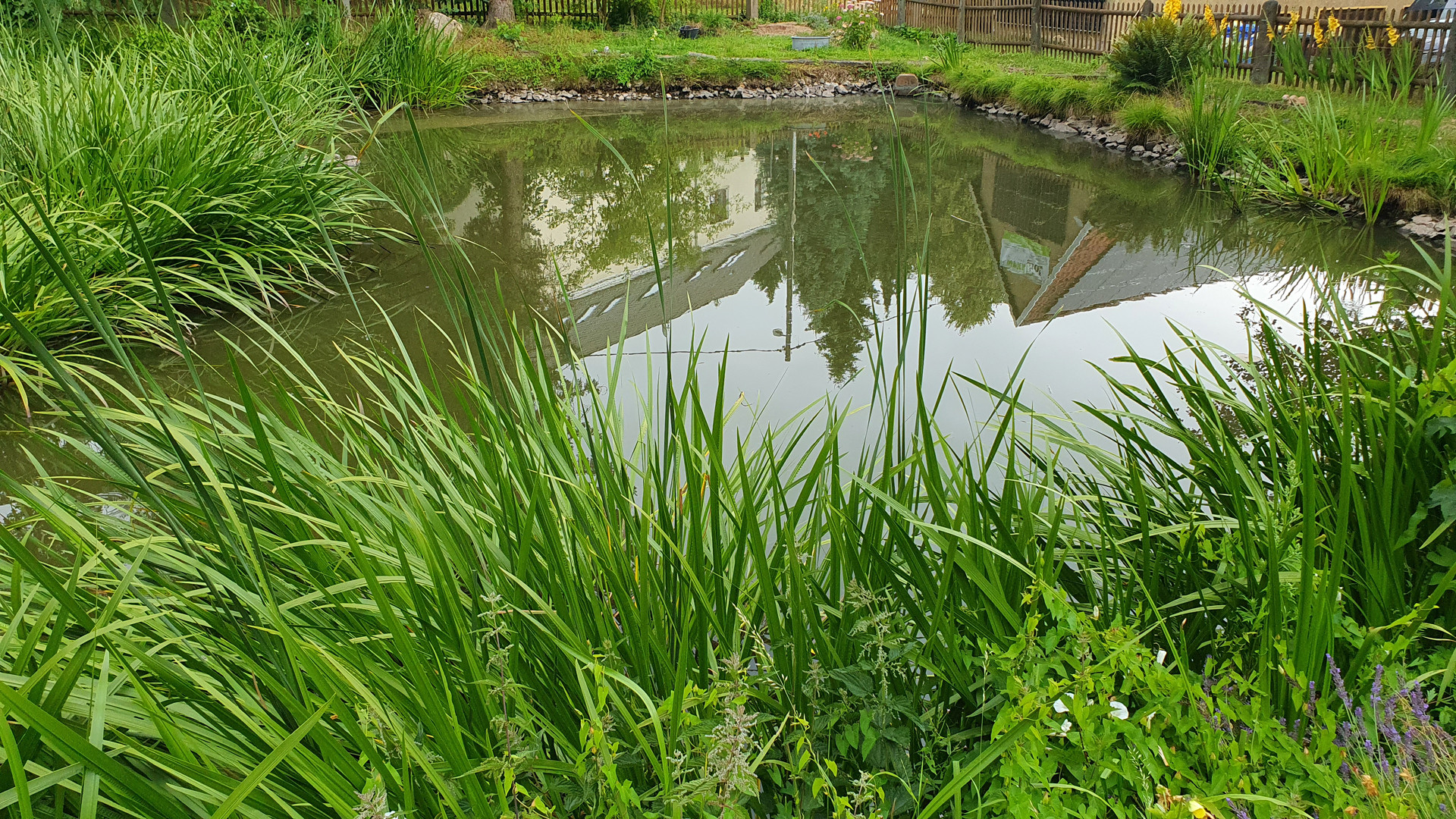 Gartenteich