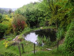 gartenteich